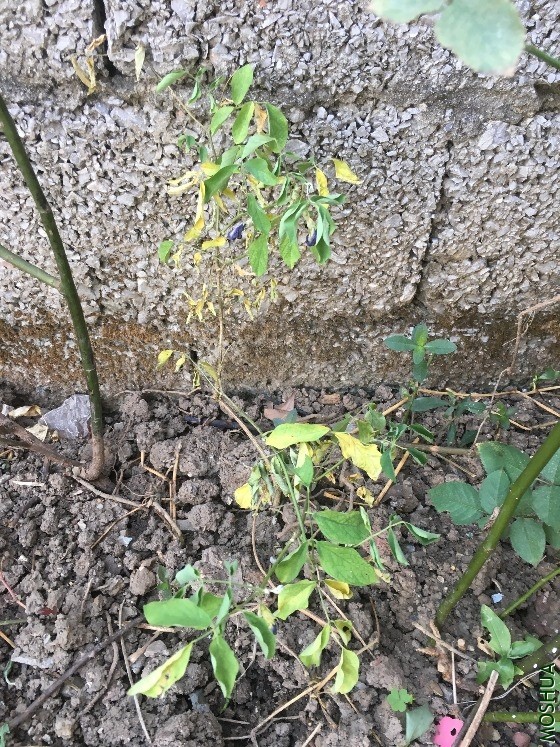 1569688675_IMG_1962.JPG