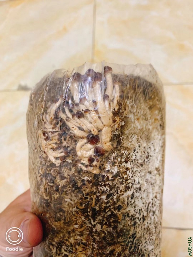 ΢��ͼƬ_20190930092546.jpg