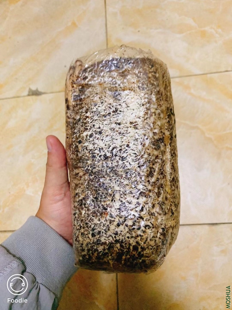 ΢��ͼƬ_20190930092557.jpg