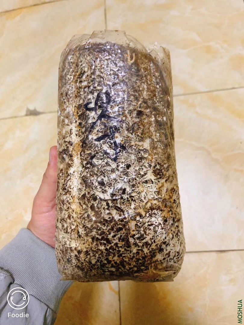 ΢��ͼƬ_20190930092601.jpg
