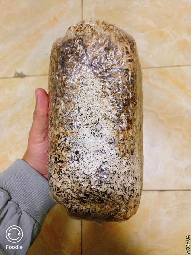 ΢��ͼƬ_20190930092605.jpg