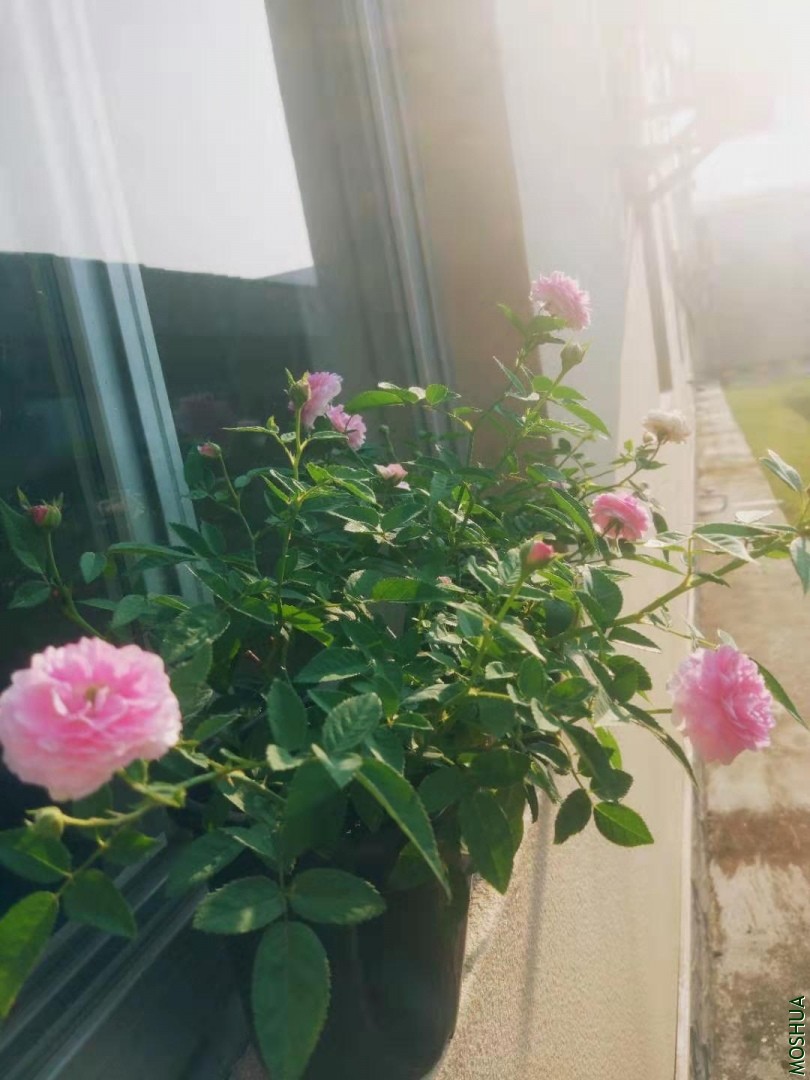 ΢��ͼƬ_20190930141138.jpg