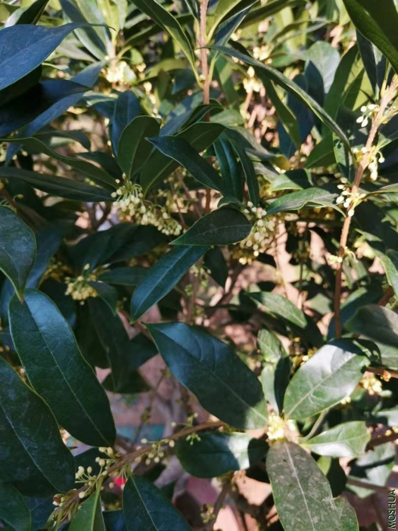 ΢��ͼƬ_20190930162624.jpg