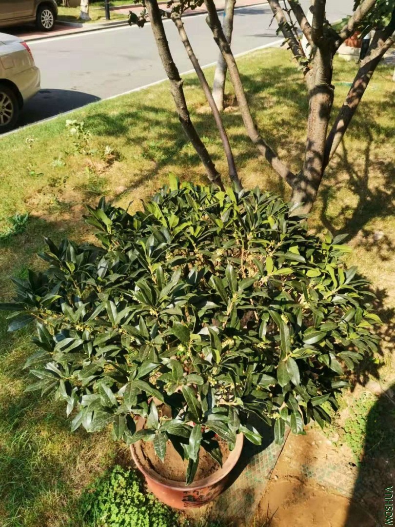 ΢��ͼƬ_20190930162636.jpg