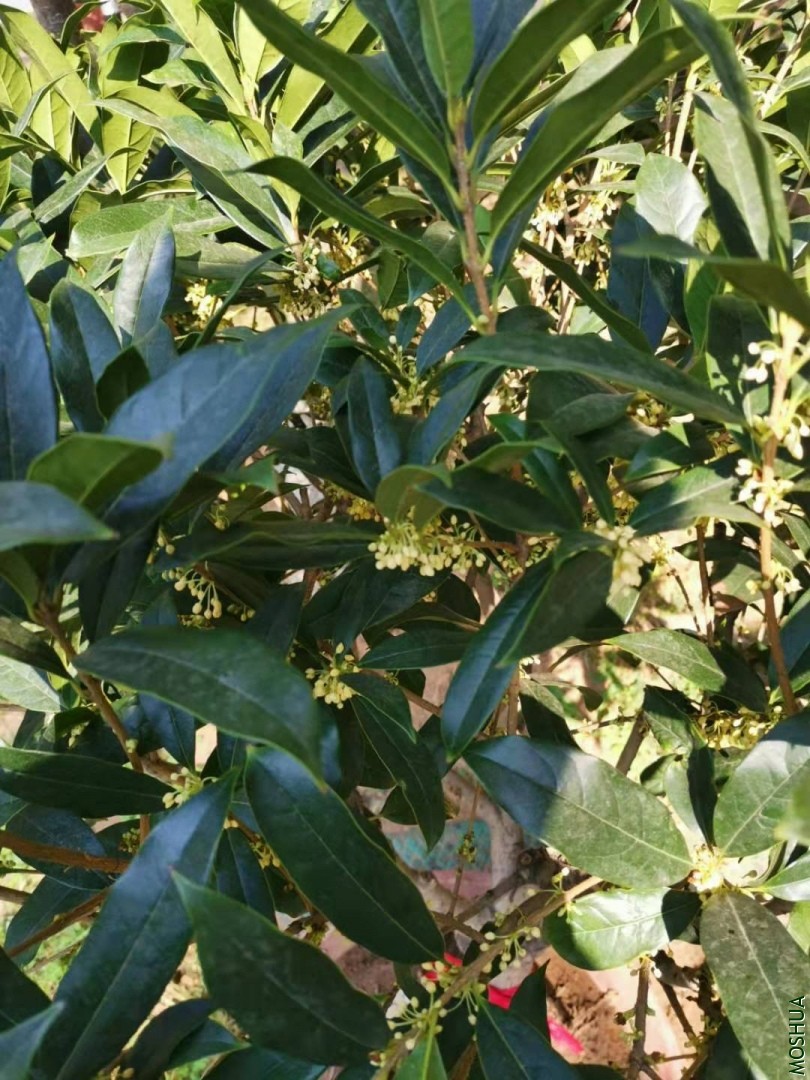 ΢��ͼƬ_20190930162700.jpg