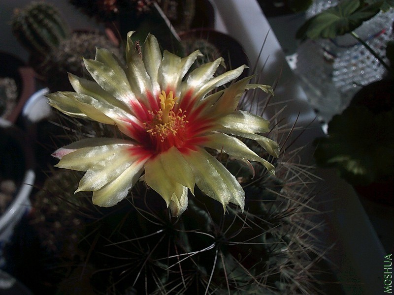 DSCF0009 (4)_����.jpg