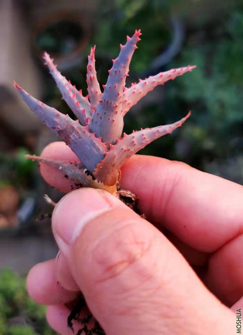 da0dfeebac96c714ceaeade8a104978.jpg