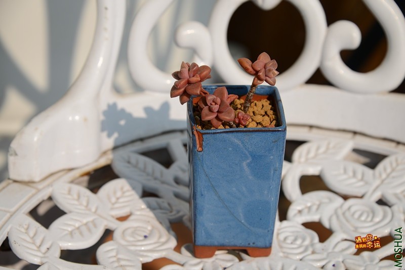 ��Ƭ 230_����.jpg