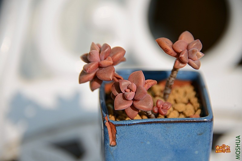 ��Ƭ 232_����.jpg