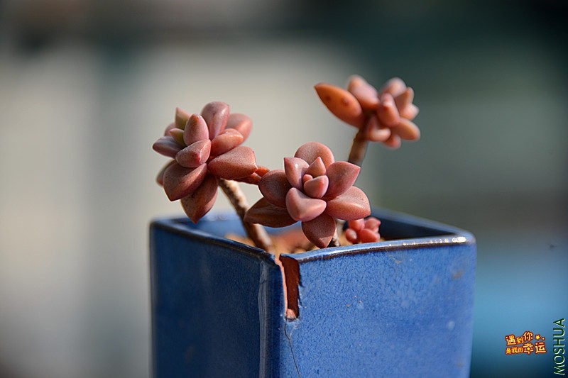 ��Ƭ 233_����.jpg