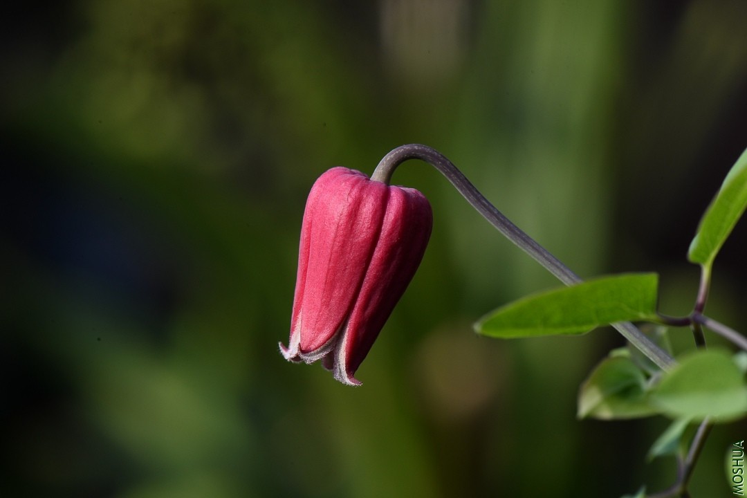 DSC_3502.JPG