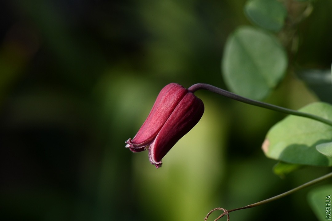 DSC_3507.JPG