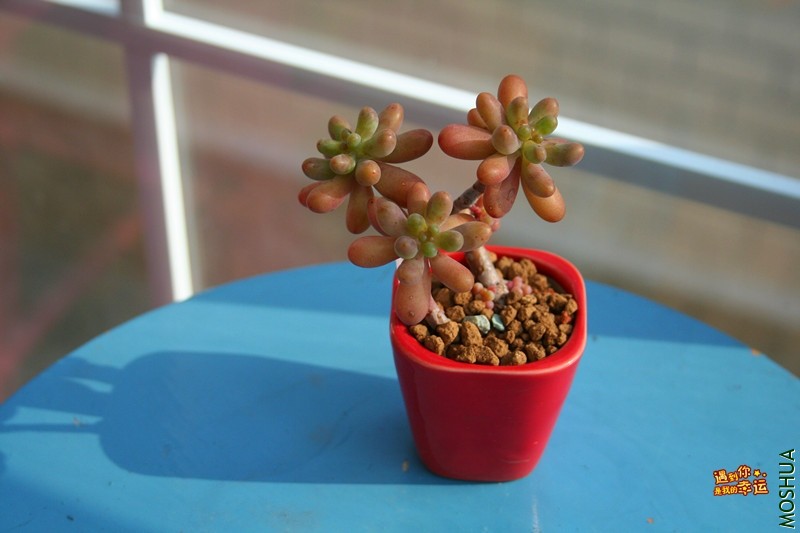 ��Ƭ 071_����.jpg