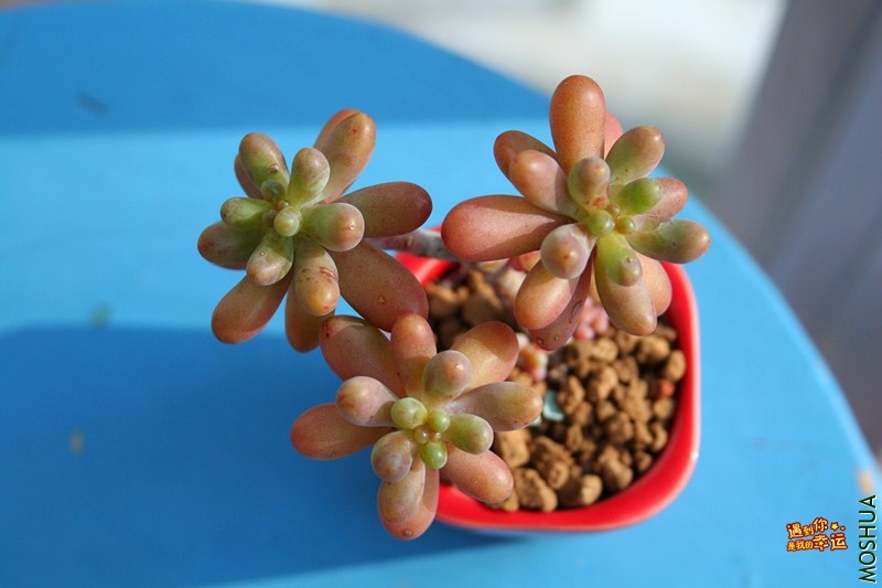 ��Ƭ 074_����.jpg