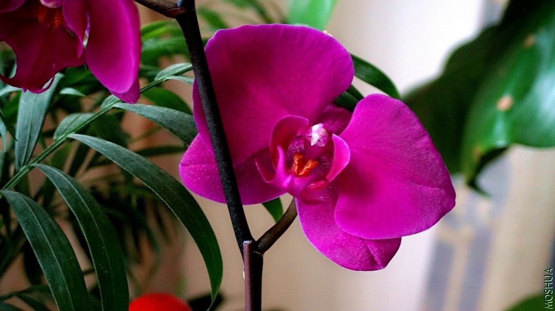 DSC07213.jpg