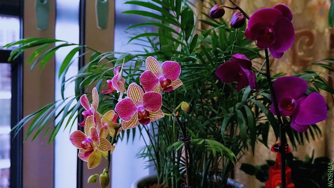 DSC07228.jpg