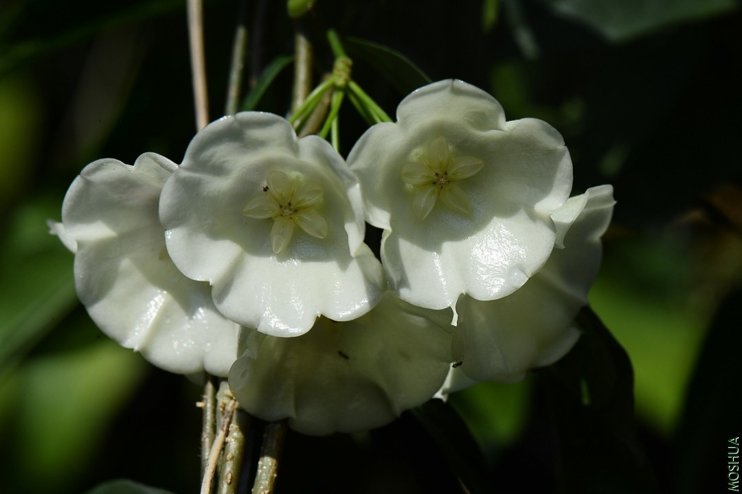 DSC_3589.JPG