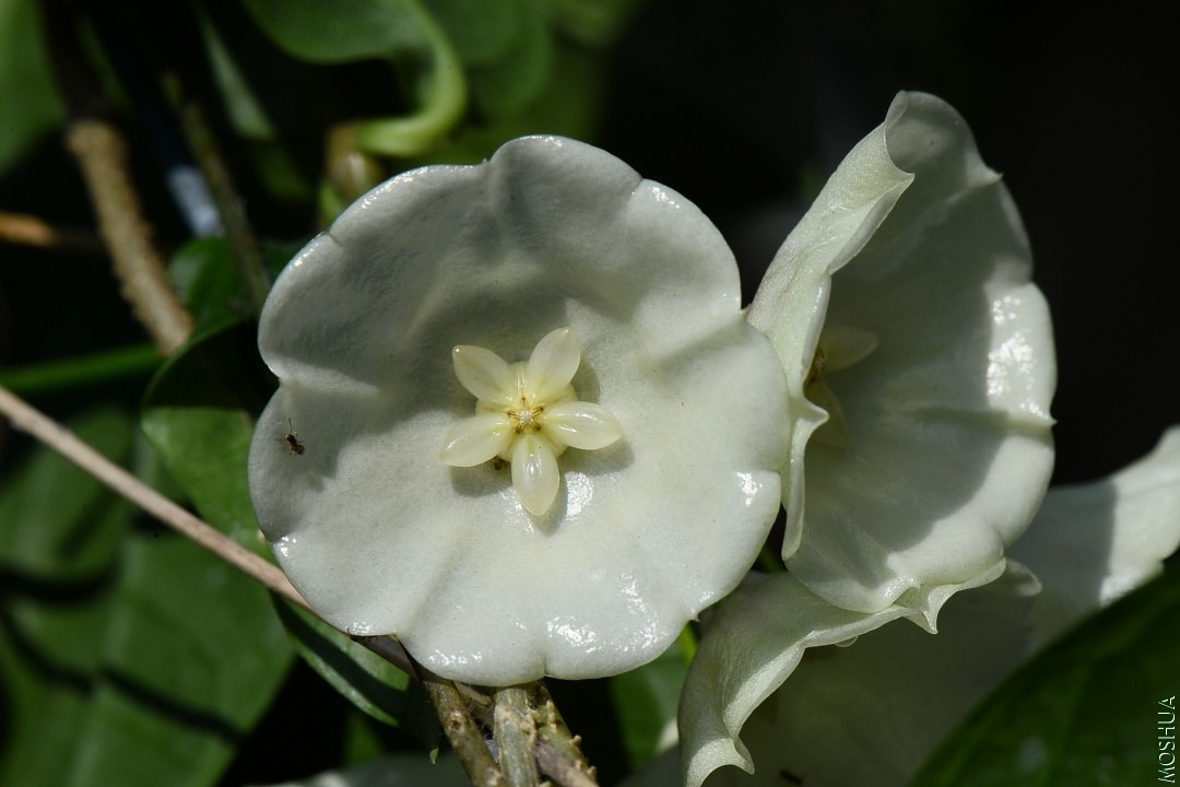 DSC_3598.JPG