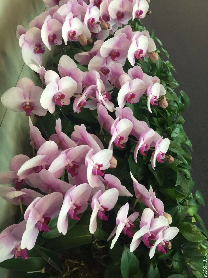 ΢��ͼƬ_20191022091903.jpg