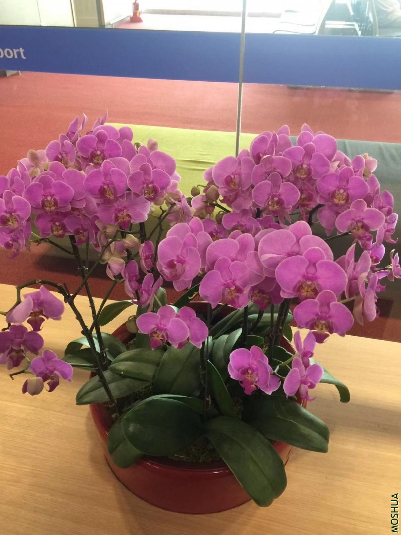 ΢��ͼƬ_20191022091907.jpg