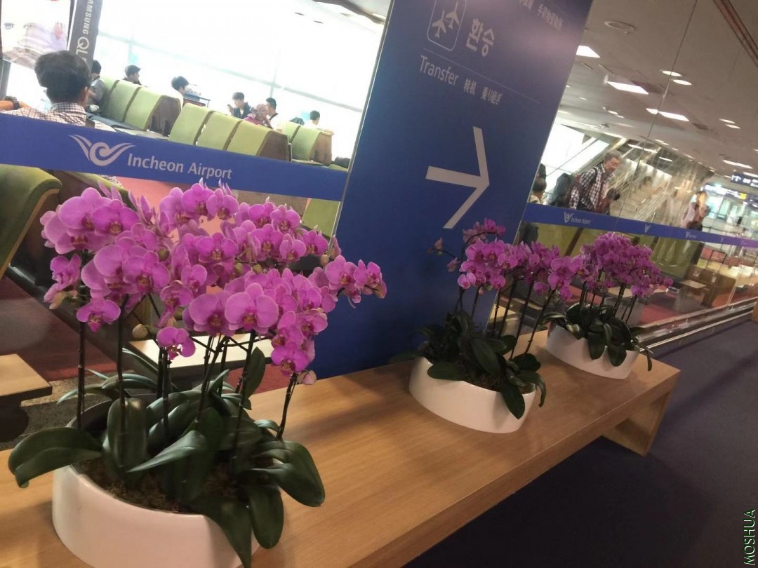 ΢��ͼƬ_20191022091915.jpg