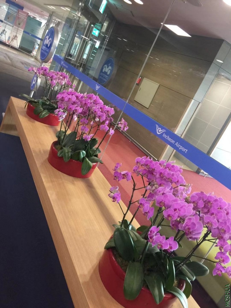 ΢��ͼƬ_20191022091911.jpg