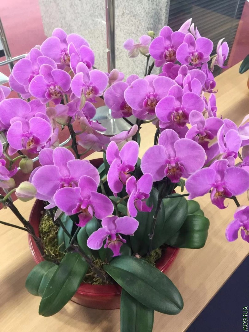 ΢��ͼƬ_20191022091919.jpg