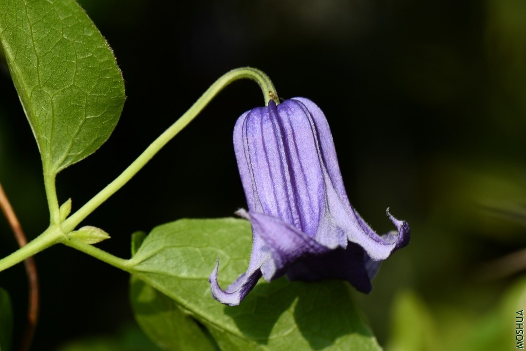 DSC_3813.JPG