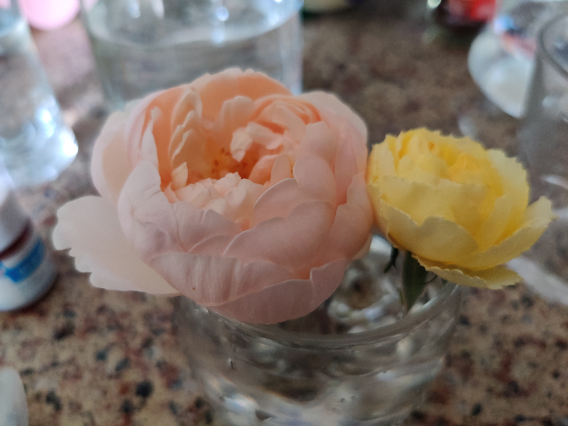 IMG_20191022_130235.jpg
