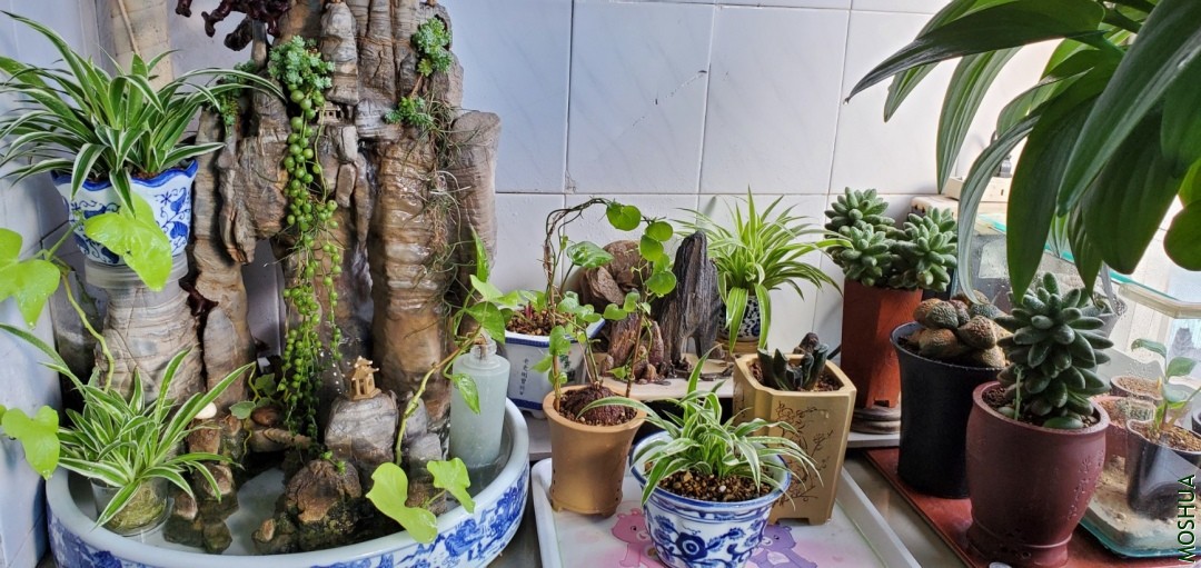 20191017_163632.jpg