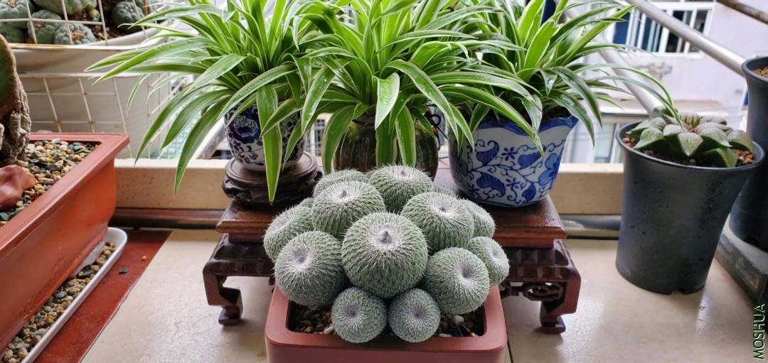 20191006_102621.jpg
