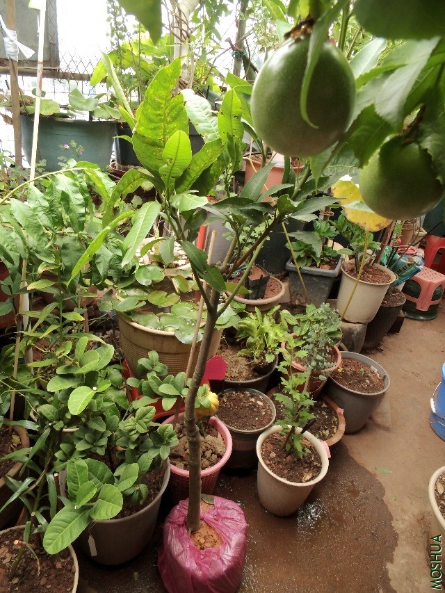 S0908143.JPG