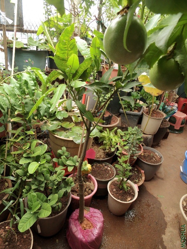 S0908144.JPG