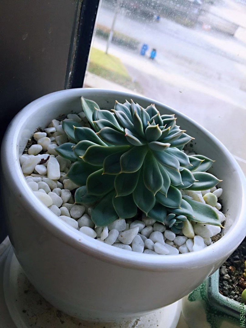 ΢��ͼƬ_20191030081707.jpg