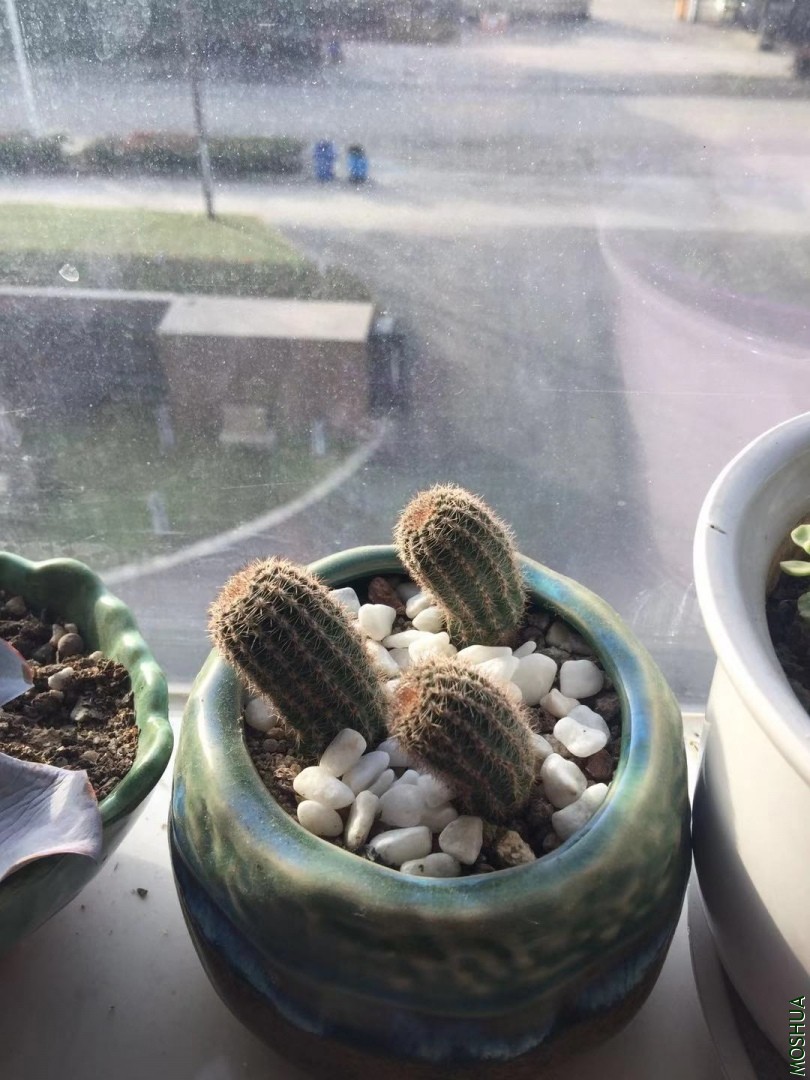 ΢��ͼƬ_20191030081626.jpg