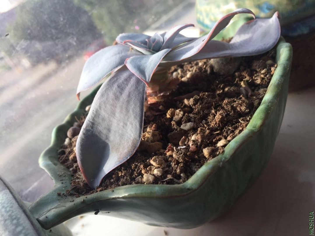 ΢��ͼƬ_20191030081702.jpg