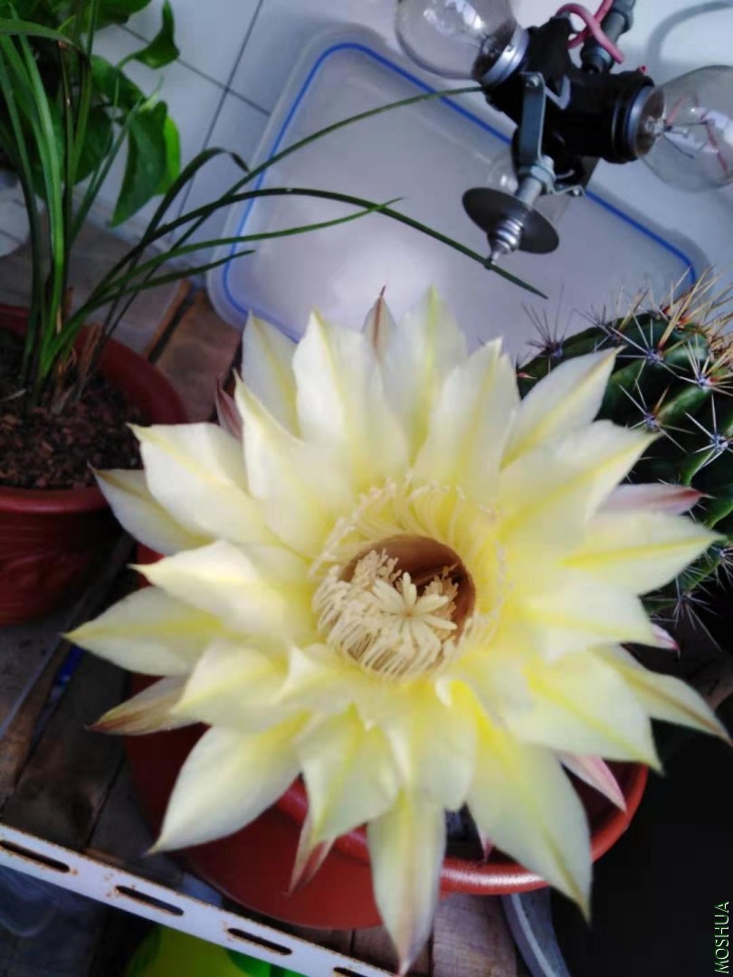 ΢��ͼƬ_201910291002551.jpg