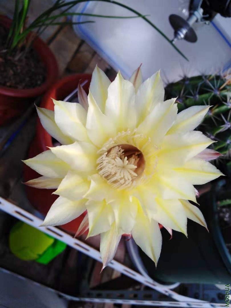 ΢��ͼƬ_20191029100255.jpg