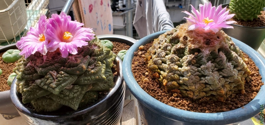 20191030_111501.jpg