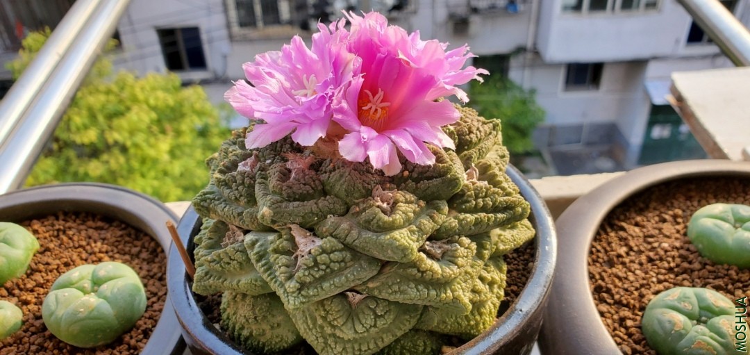 20191029_145026.jpg