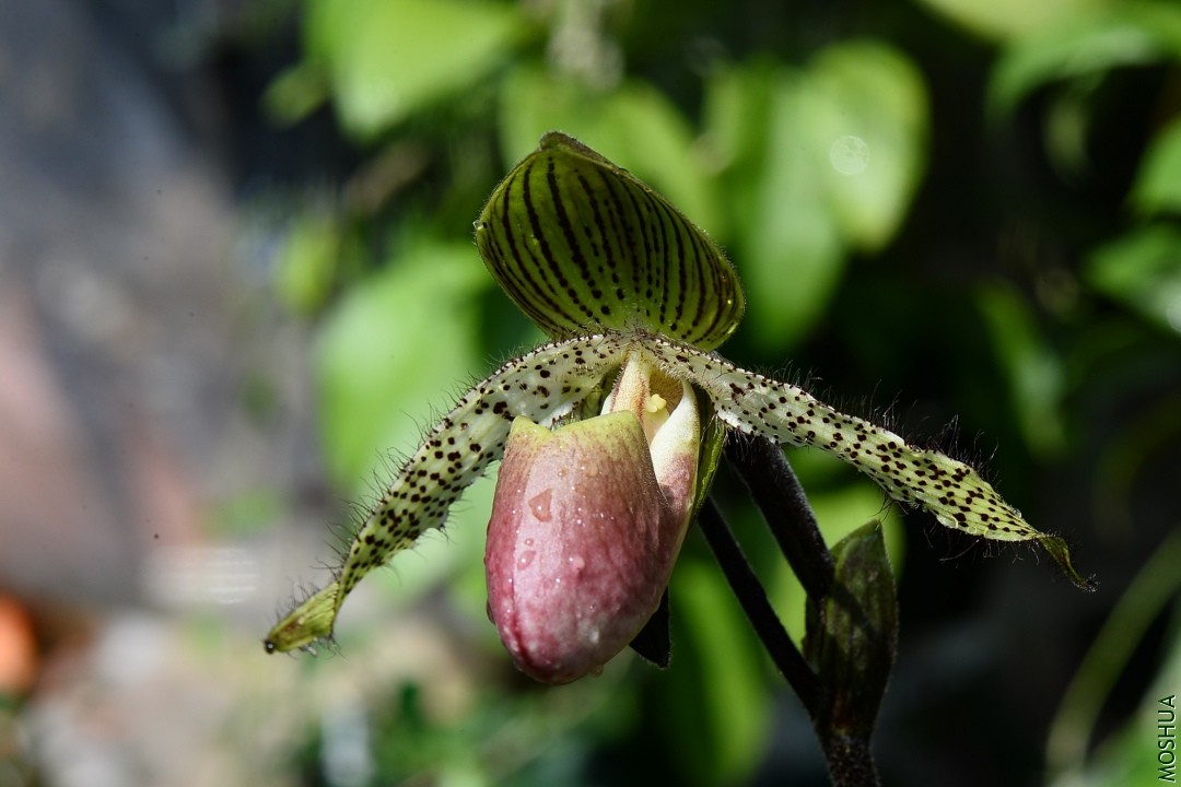 DSC_3542.JPG