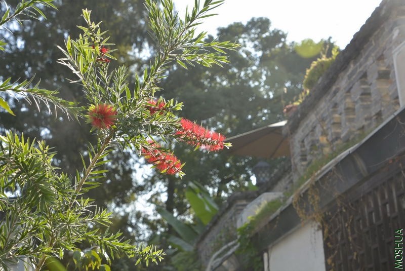 _DSC60290722.JPG