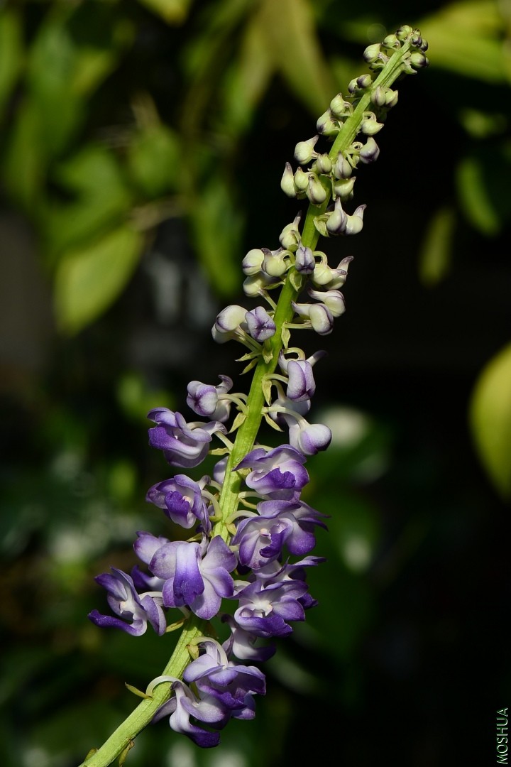 DSC_3954.JPG