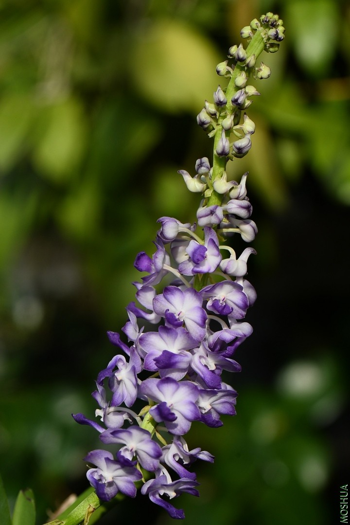 DSC_4087.JPG