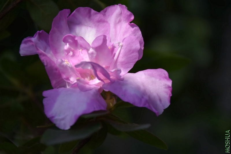 DSC_04800480.JPG