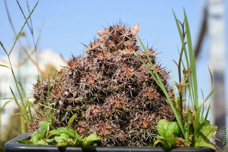 DSC_00010001.JPG