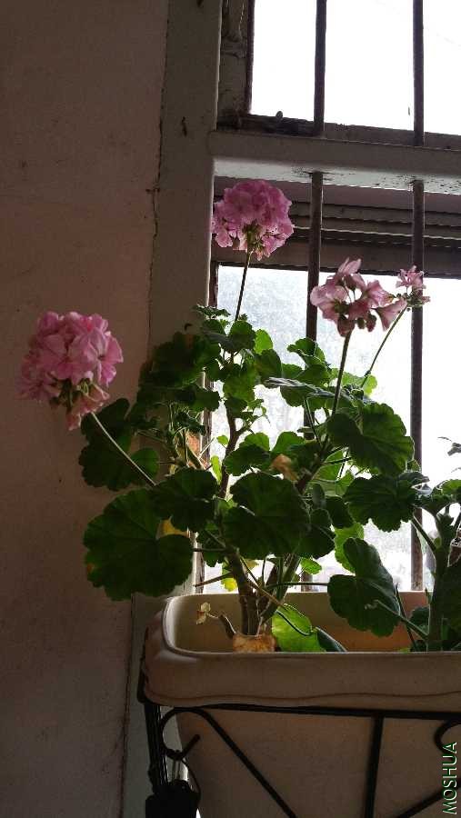 20190124_162255.jpg