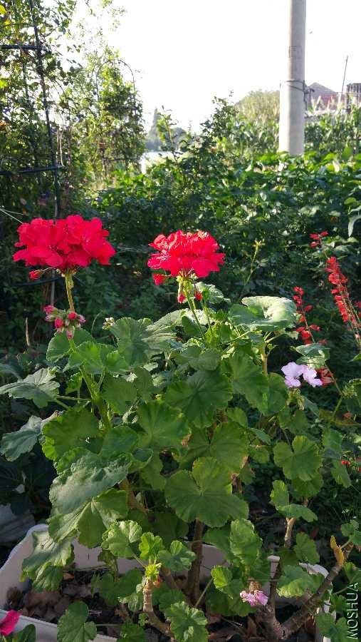 20190923_073931.jpg