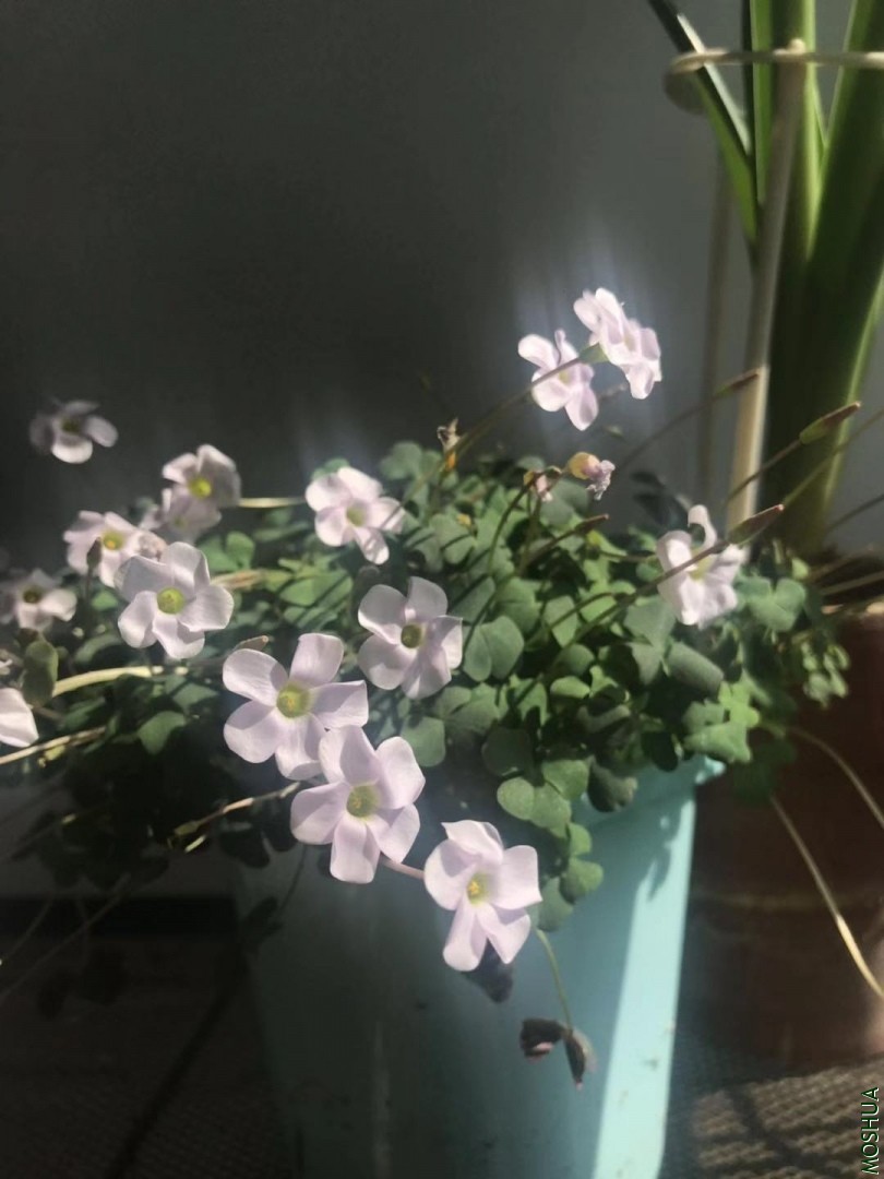 ΢��ͼƬ_20191114130820.jpg