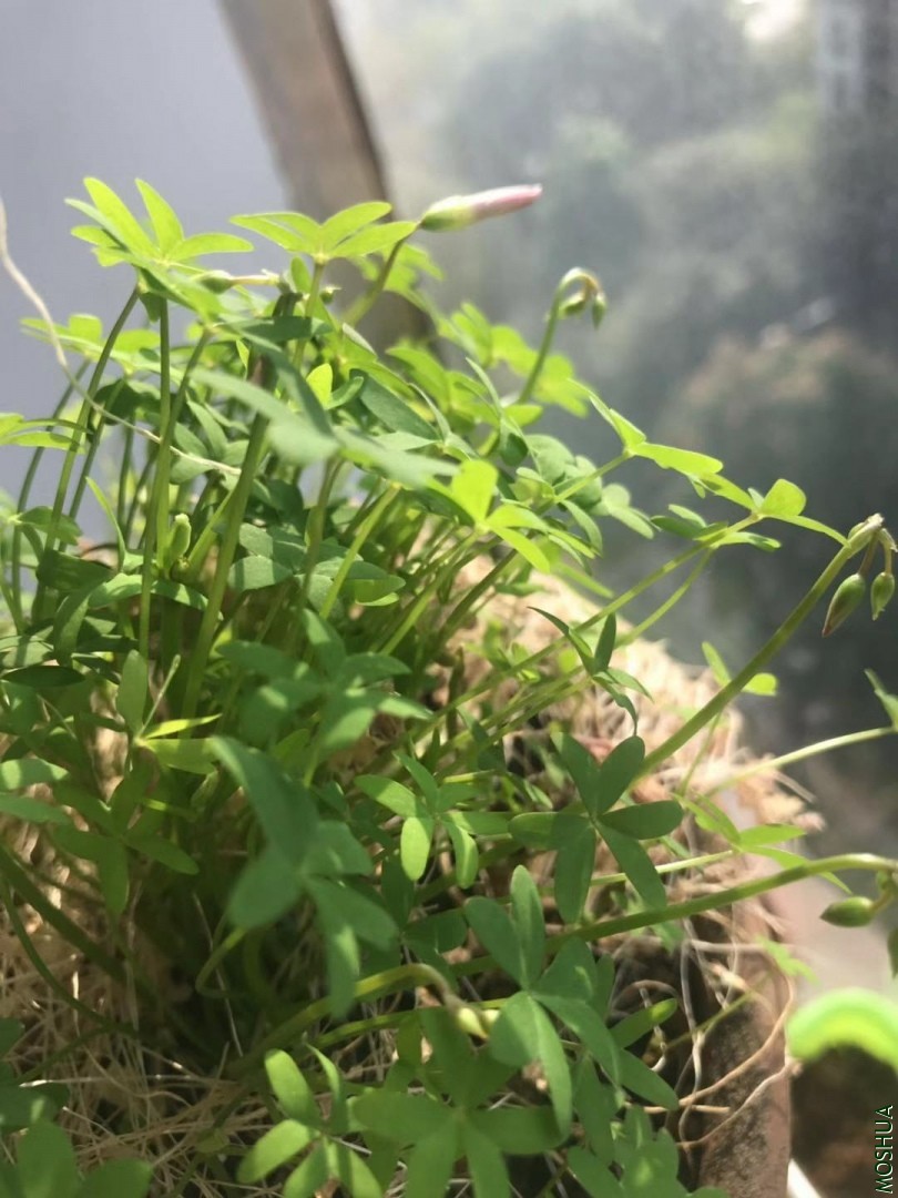 ΢��ͼƬ_20191114131149.jpg